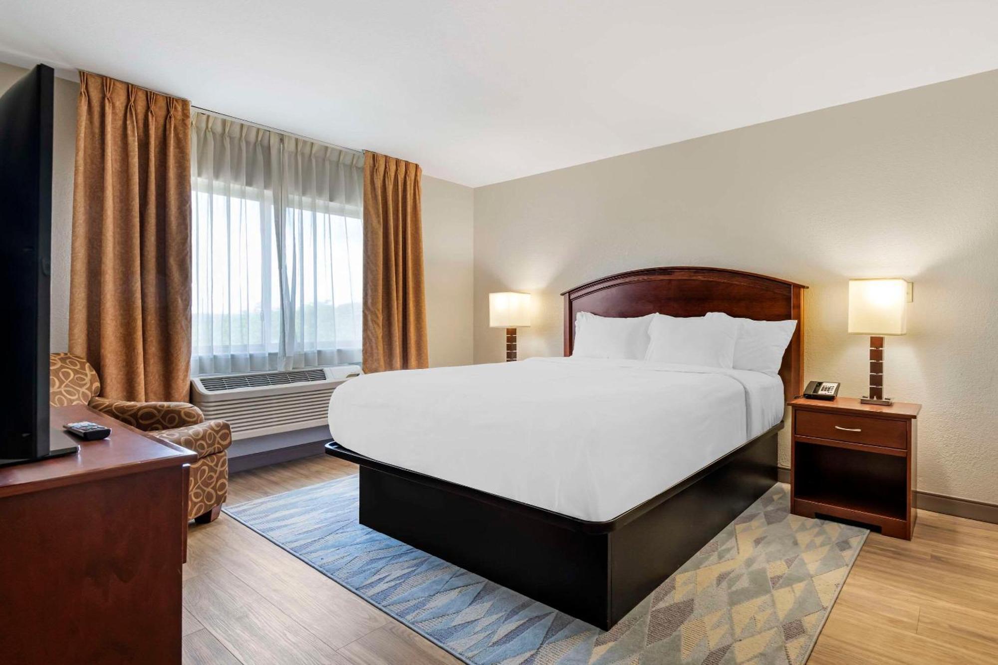 Comfort Inn Албърт Лий Екстериор снимка