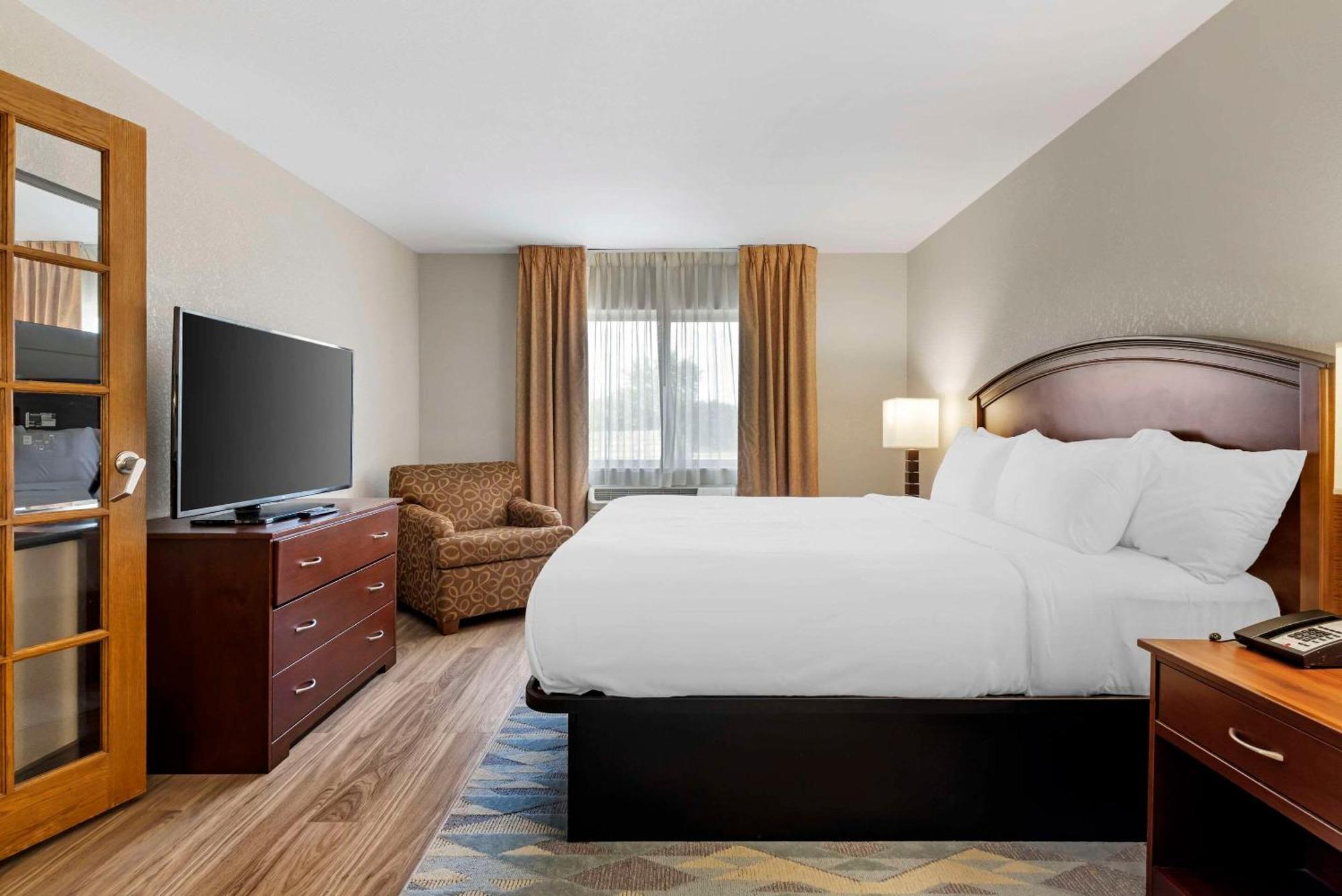 Comfort Inn Албърт Лий Екстериор снимка